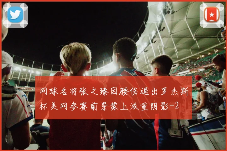 网球名将张之臻因腰伤退出罗杰斯杯美网参赛前景蒙上浓重阴影