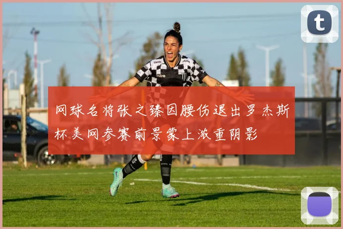 网球名将张之臻因腰伤退出罗杰斯杯美网参赛前景蒙上浓重阴影