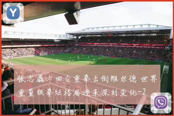 张志磊六回合重拳击倒维尔德 世界重量级拳坛格局迎来深刻变化