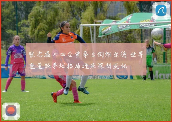 张志磊六回合重拳击倒维尔德 世界重量级拳坛格局迎来深刻变化